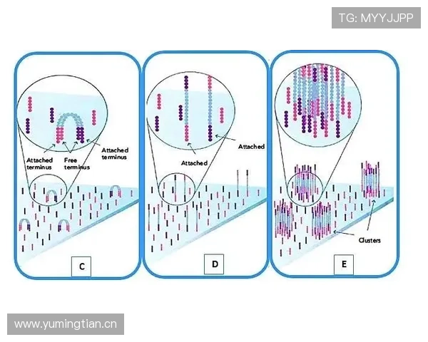 曼联重建进程存疑：表面革新实则持续修补，稳定性面临考验
