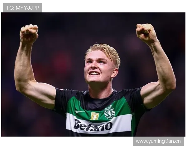 德甲冠军核心成员:博尼法斯的荣誉含金量