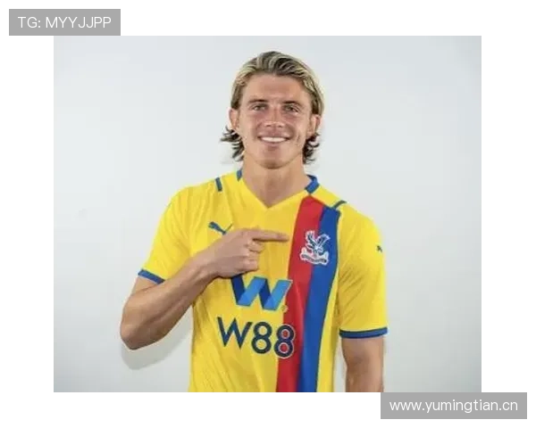 赖斯从防守型中场到全能B2B中场的角色进化解析