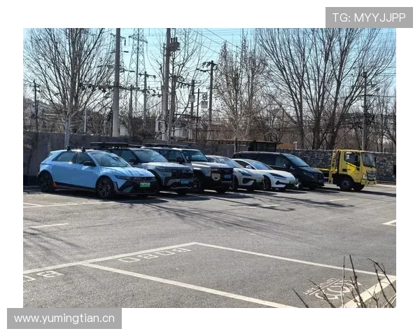 王燊超又来晒家里的豪车，这车库开的跟小型车展似的！