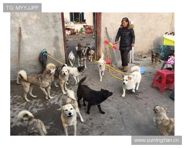 蒋圣龙家的狗吃的都比我一个月工资多